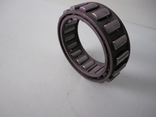 one way sprag cage Freewheels  BWX137222 assembly with sprags and double cages