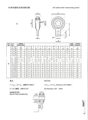 R&amp;B roller type freewheel backstop clutch AV25/GV25 apply in Grain hoist or Fishing net machine